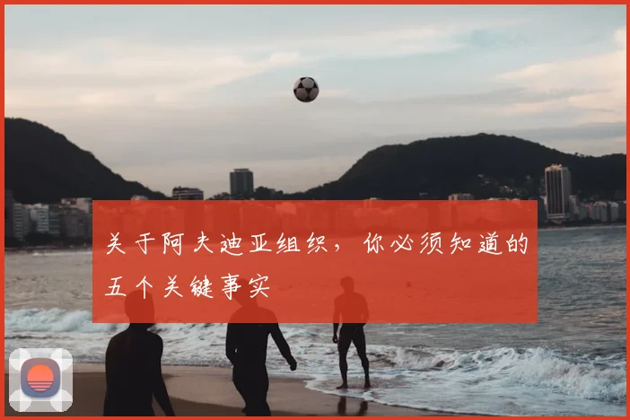 关于阿夫迪亚组织，你必须知道的五个关键事实